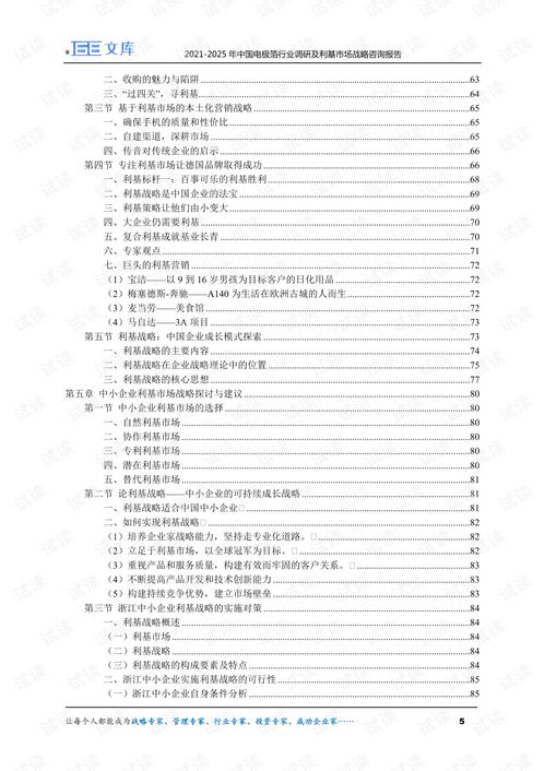 2021-2025年中国电极箔行业深度调研与利基市场战略咨询报告